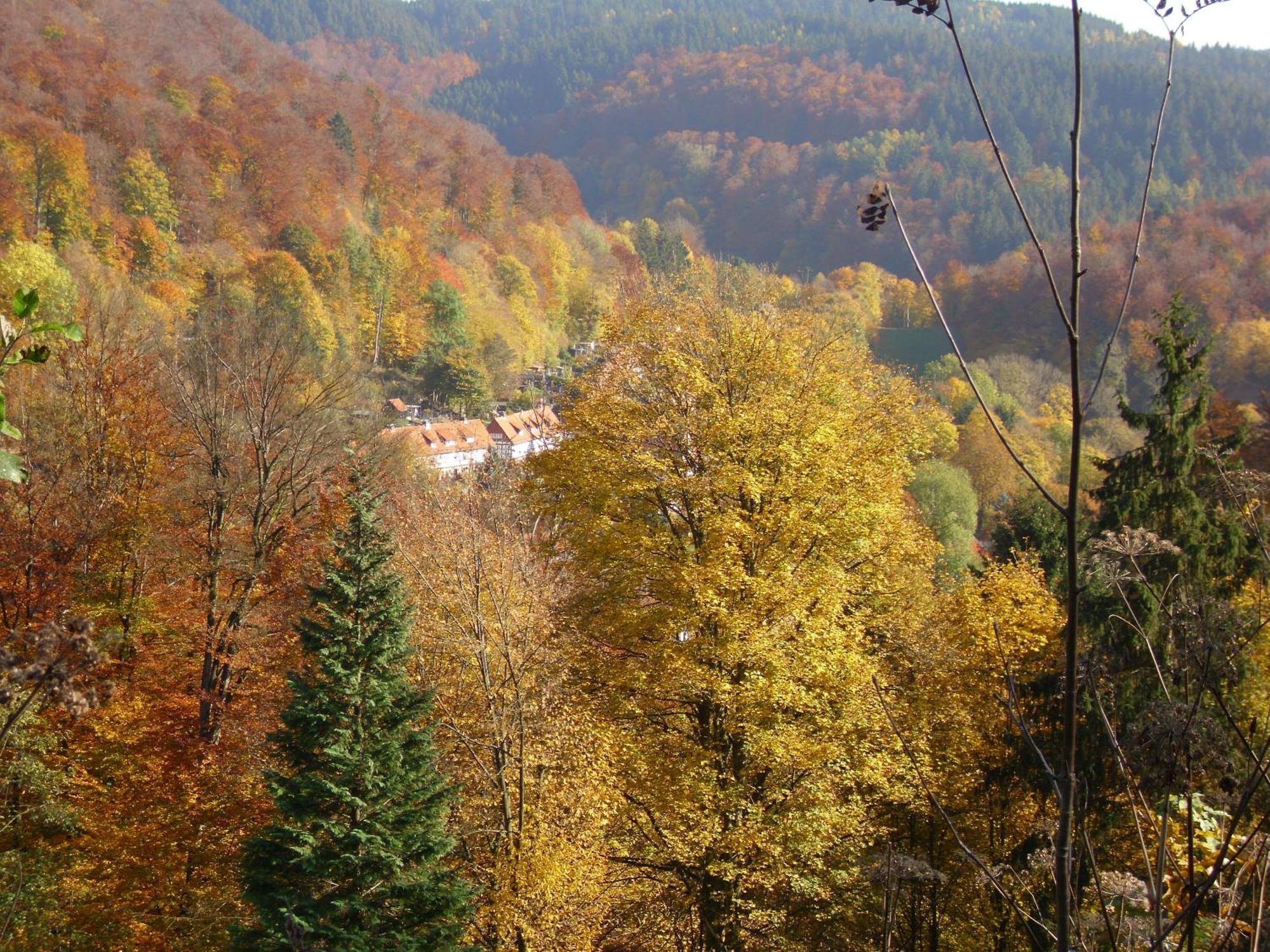 Naturkost-Hotel Harz Bad Grund Exterior photo